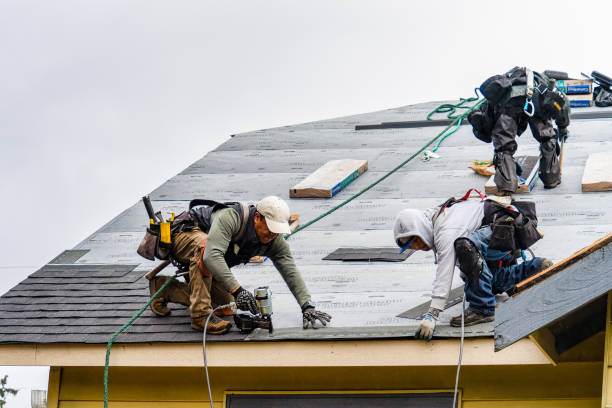 Professional Gutter Installation technician working in Roselle, IL